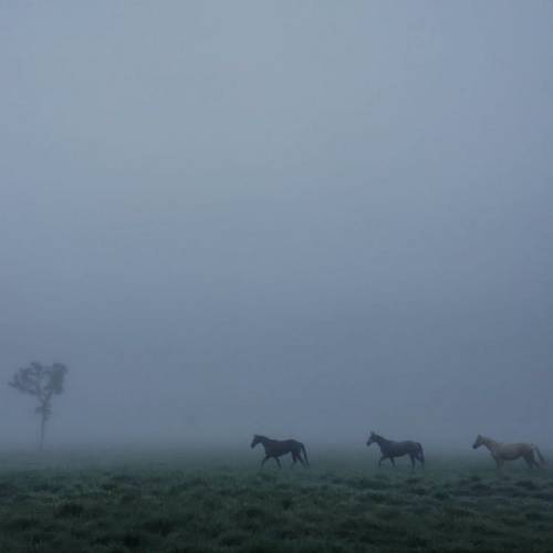 ستار دایچی کهکشان 2